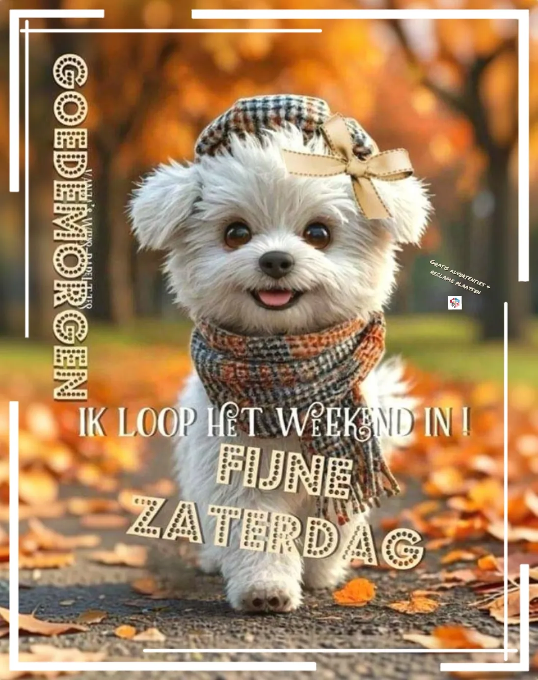 Afbeelding bij bericht van Goedemorgen Plaatjes Ils