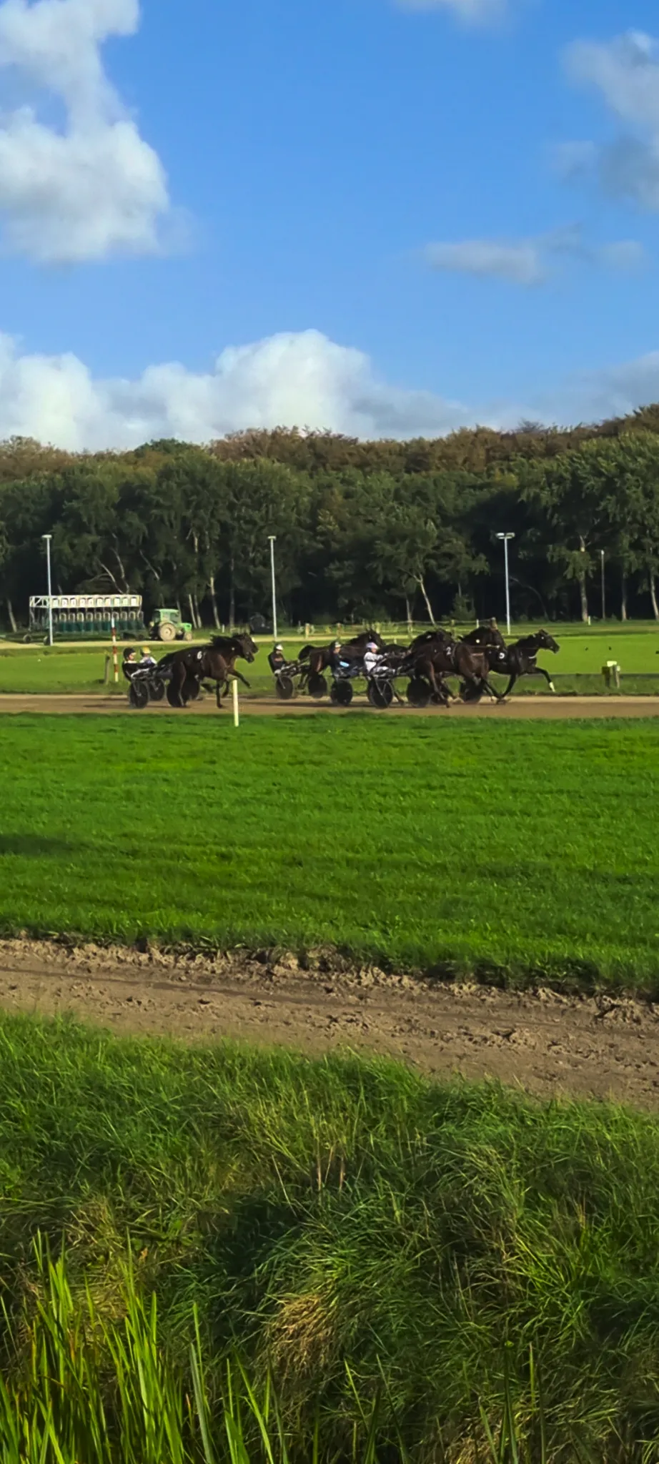 Afbeelding bij bericht van Guus Kentie
