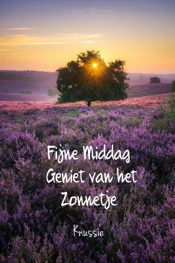 Afbeelding bij bericht van Goedemorgen Plaatjes Ils