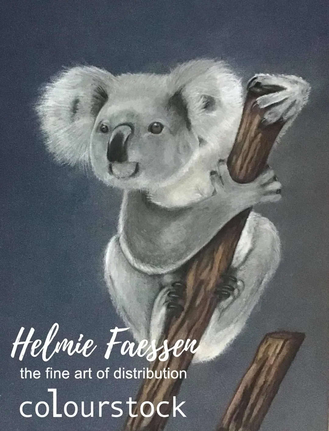 Afbeelding bij bericht van Helmie Faessen