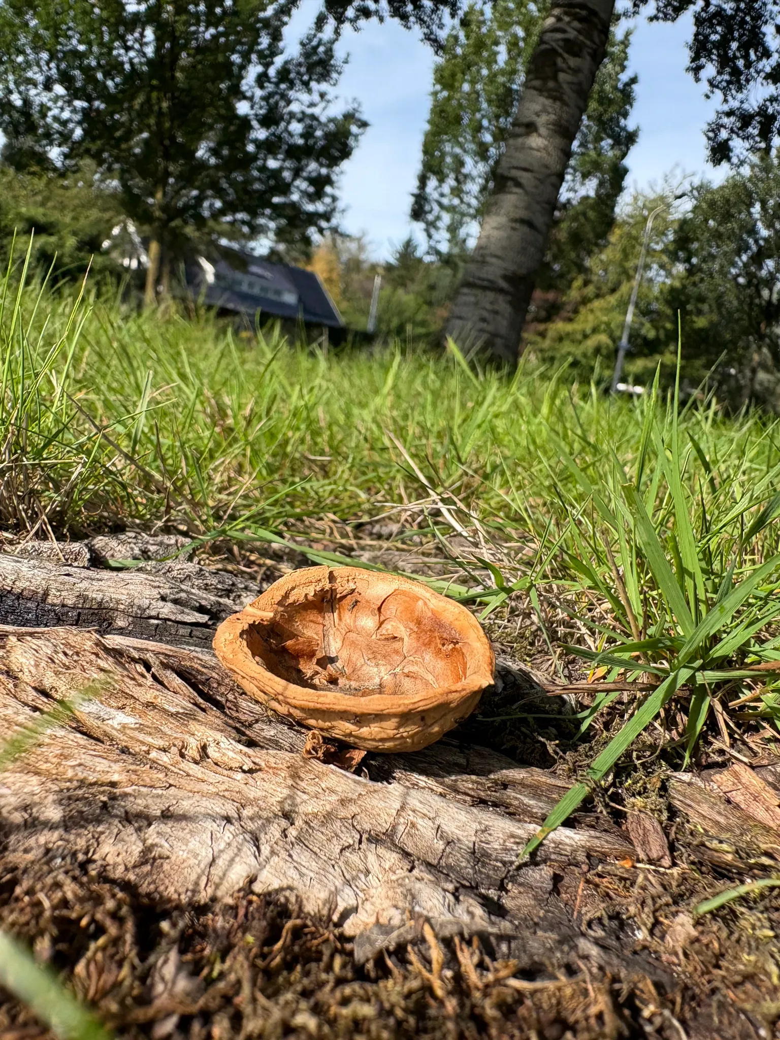 Afbeelding bij bericht van Roelie Keekstra-Kunst