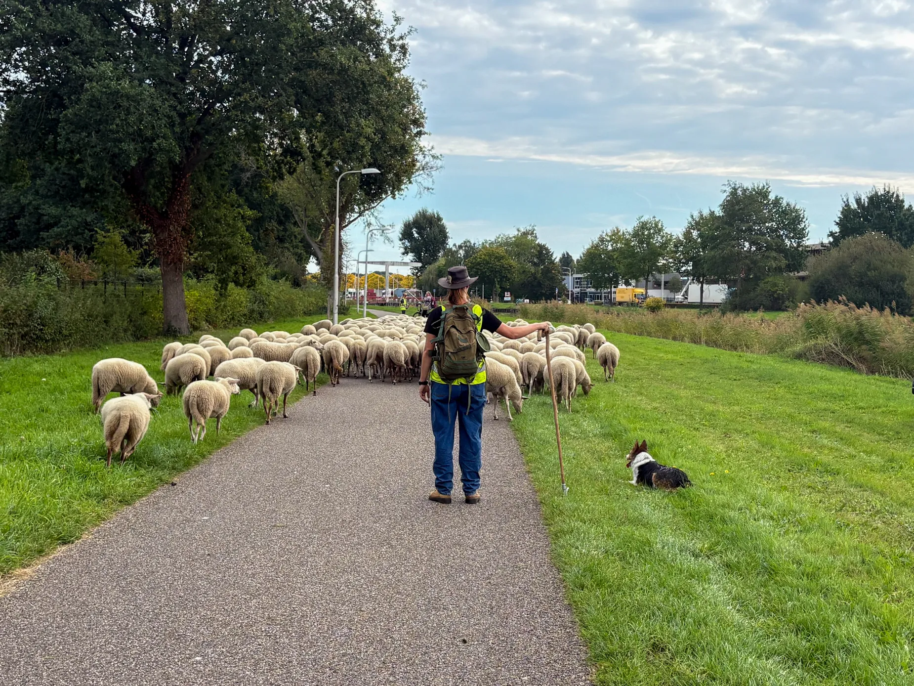 Afbeelding bij bericht van John Tilburg
