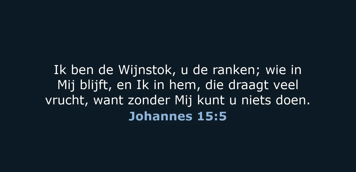 Afbeelding bij bericht van Rody J