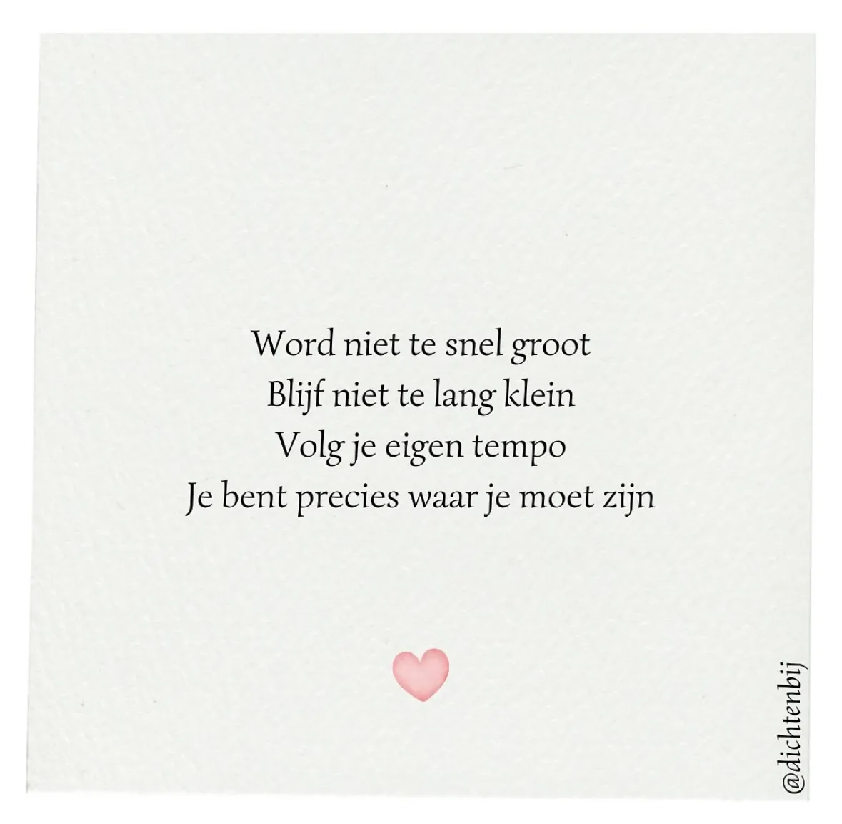 Afbeelding bij bericht van Belinda Krijnsen