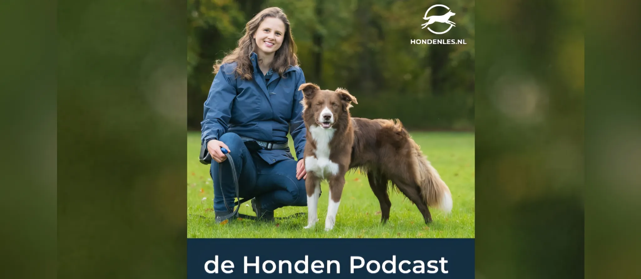 Afbeelding bij bericht van Maaike Blankenzee