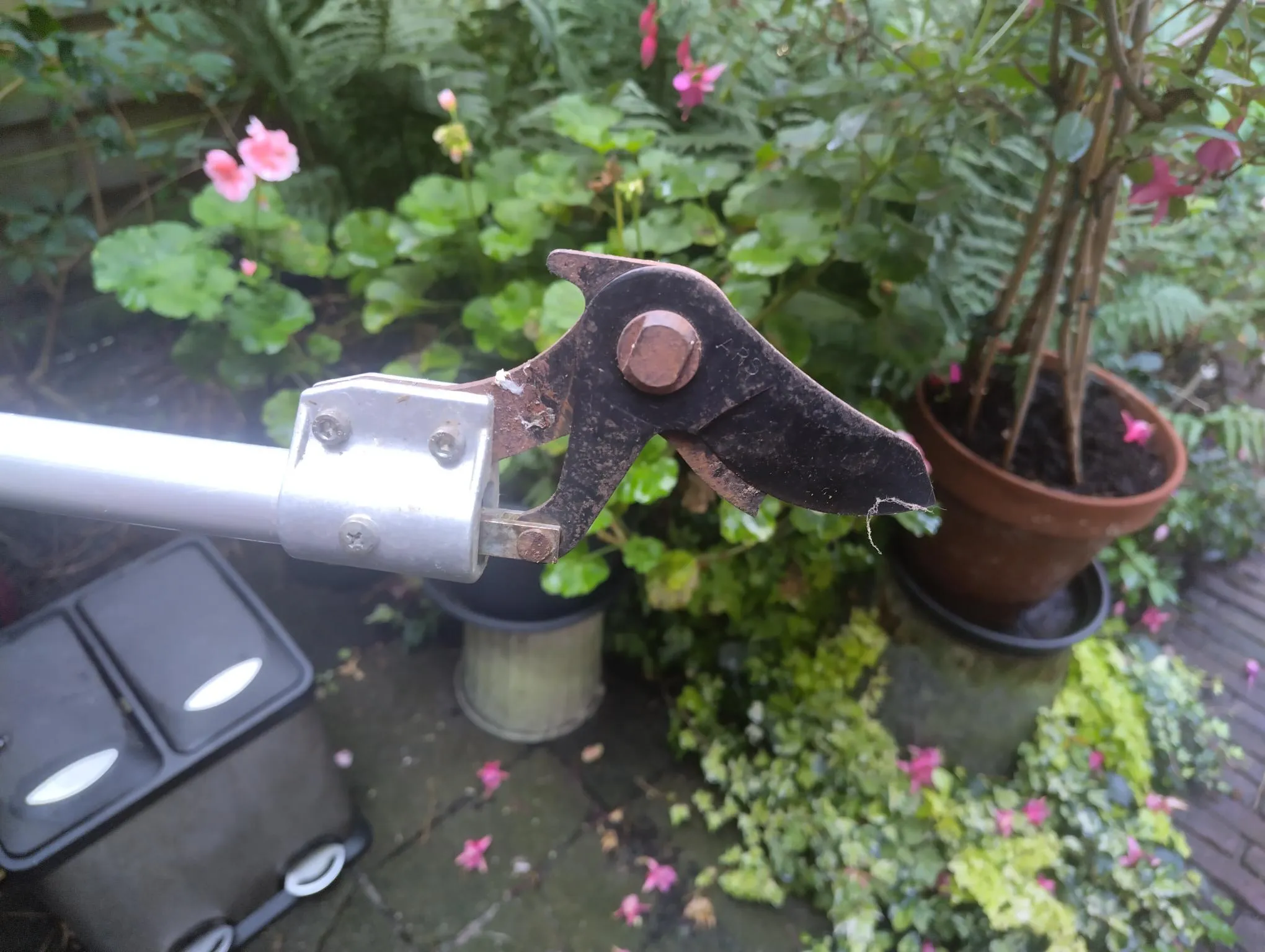 Afbeelding bij bericht van Ger Hijstek
