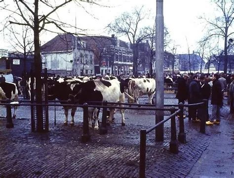 Afbeelding bij bericht van Erik Treffers