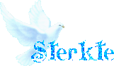 Afbeelding bij bericht van AngelWings Valk