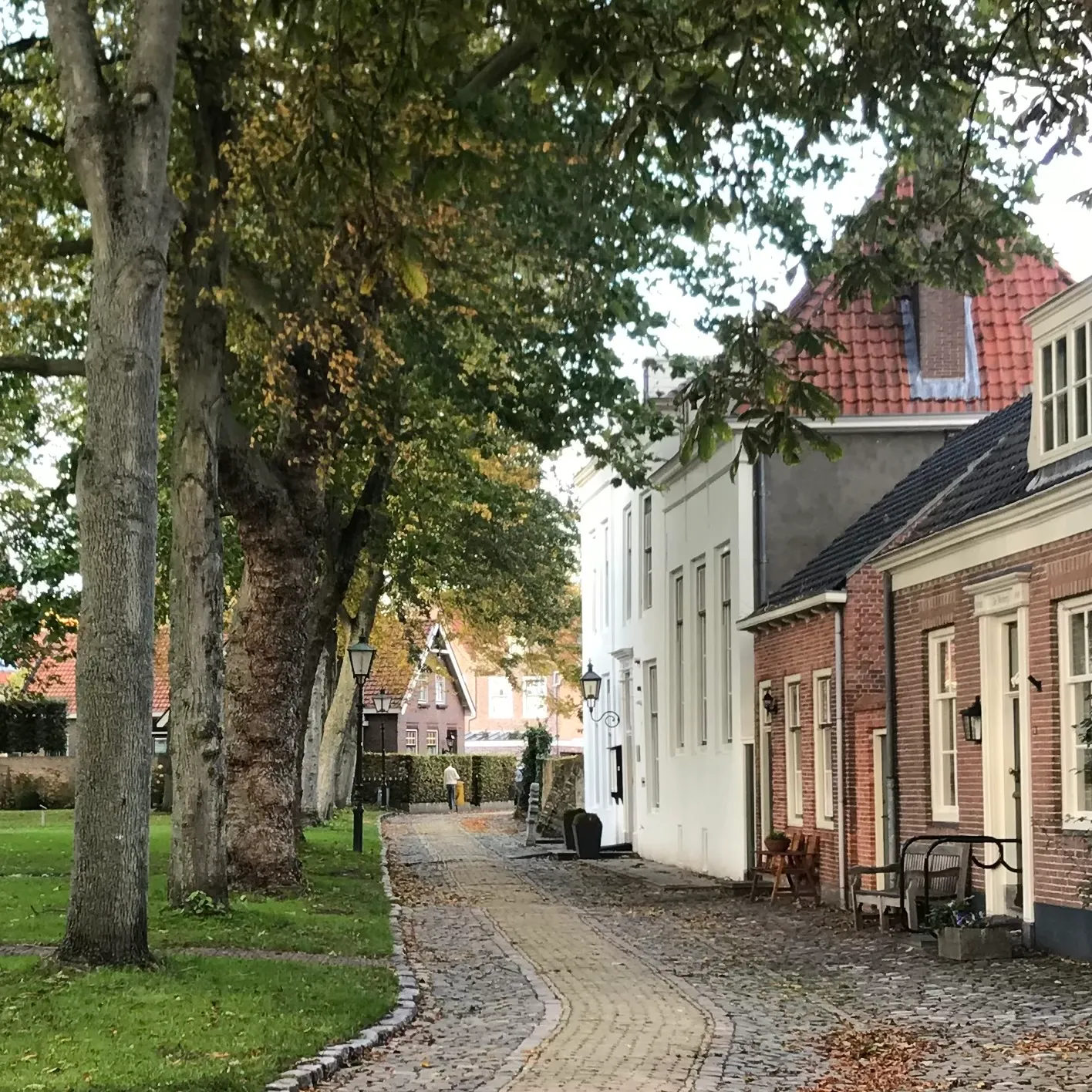 Afbeelding bij bericht van Marjos Le Duc-Kösters