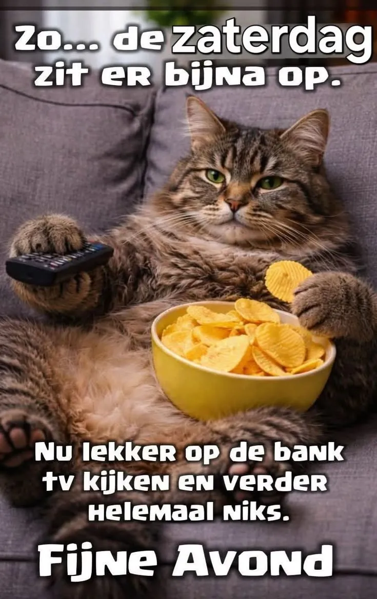 Afbeelding bij bericht van Hermien Nijland