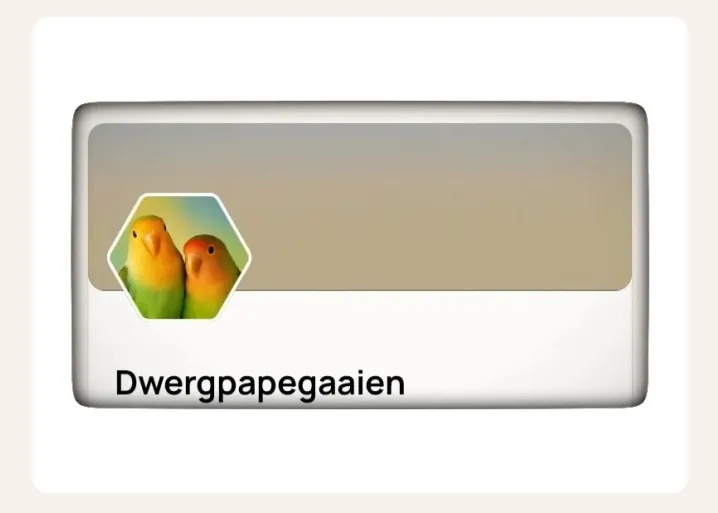 Afbeelding bij bericht van Allen🎤🎵🎶🕶 Allen van Rooten