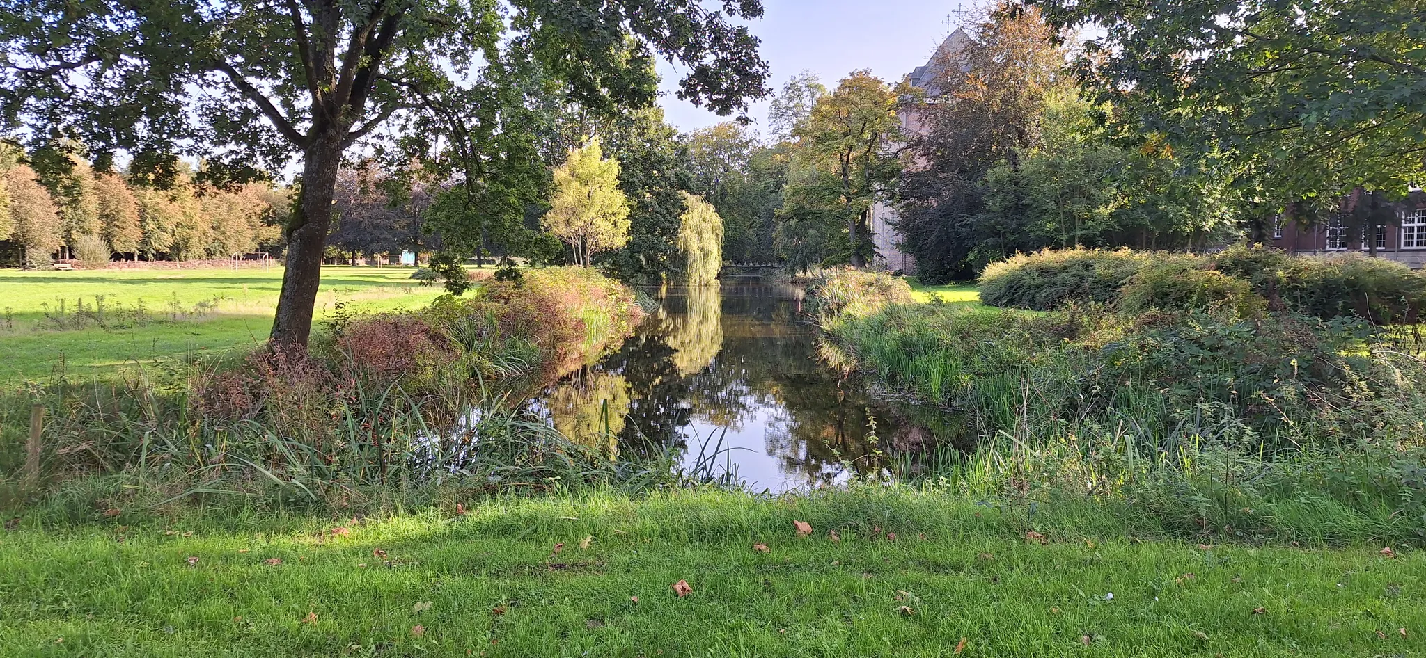 Afbeelding bij bericht van GJ Van der Lee