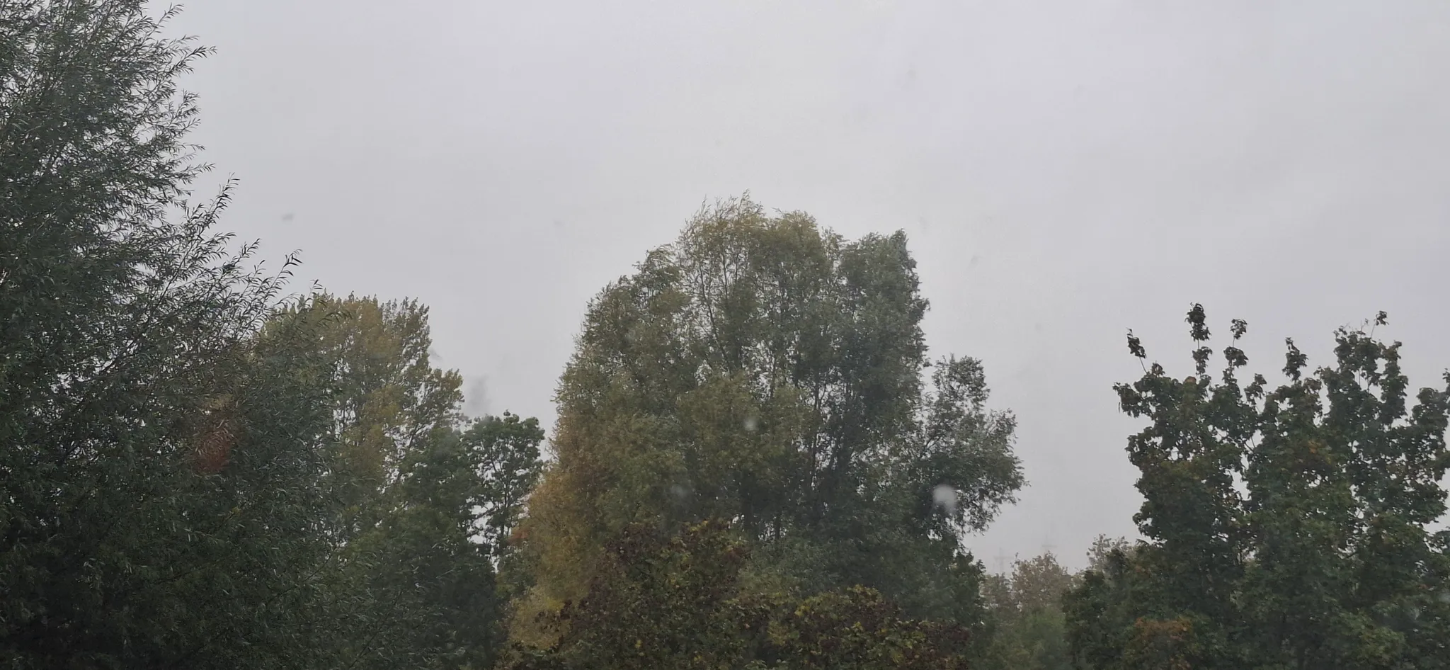 Afbeelding bij bericht van Engel Andriessen