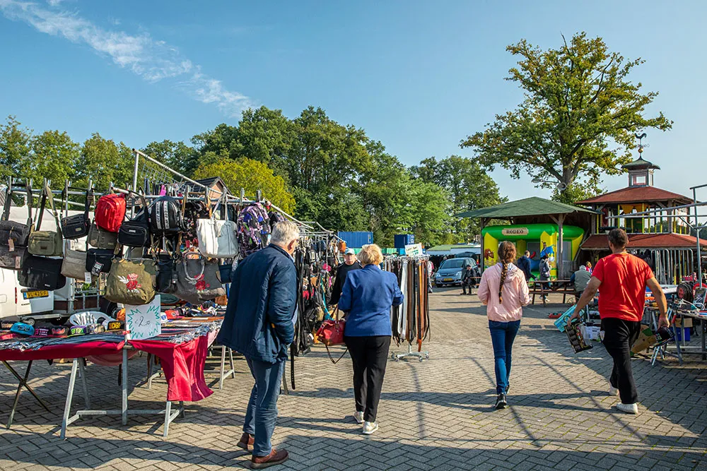 Afbeelding bij bericht van Gertie Schuurink
