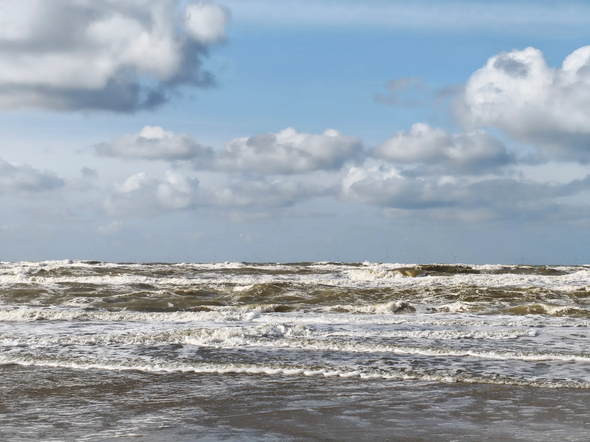 Afbeelding bij bericht van BiancaBiba Bootsma