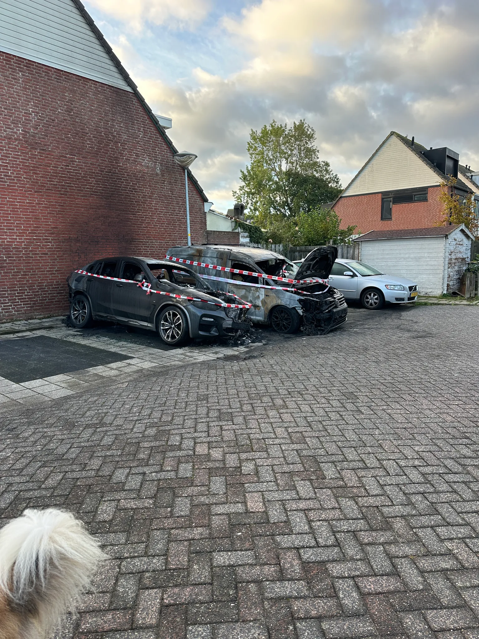 Afbeelding bij bericht van Harmen Dam