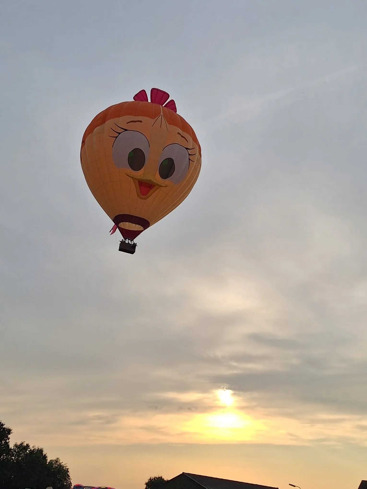 Afbeelding bij bericht van Hilde Boeren