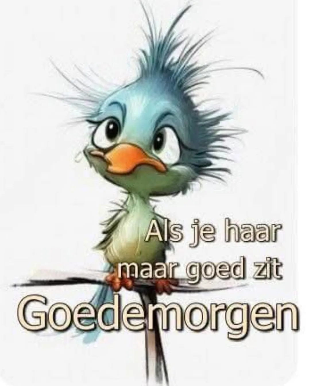 Afbeelding bij bericht van Henk Varwijk