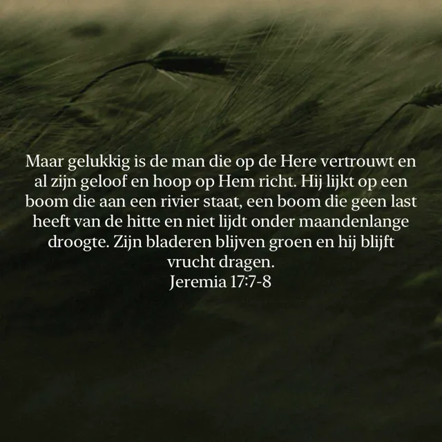 Afbeelding bij bericht van シ  Smittie De Smit