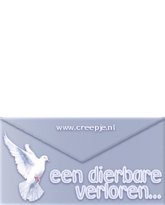 Afbeelding bij bericht van AngelWings Valk