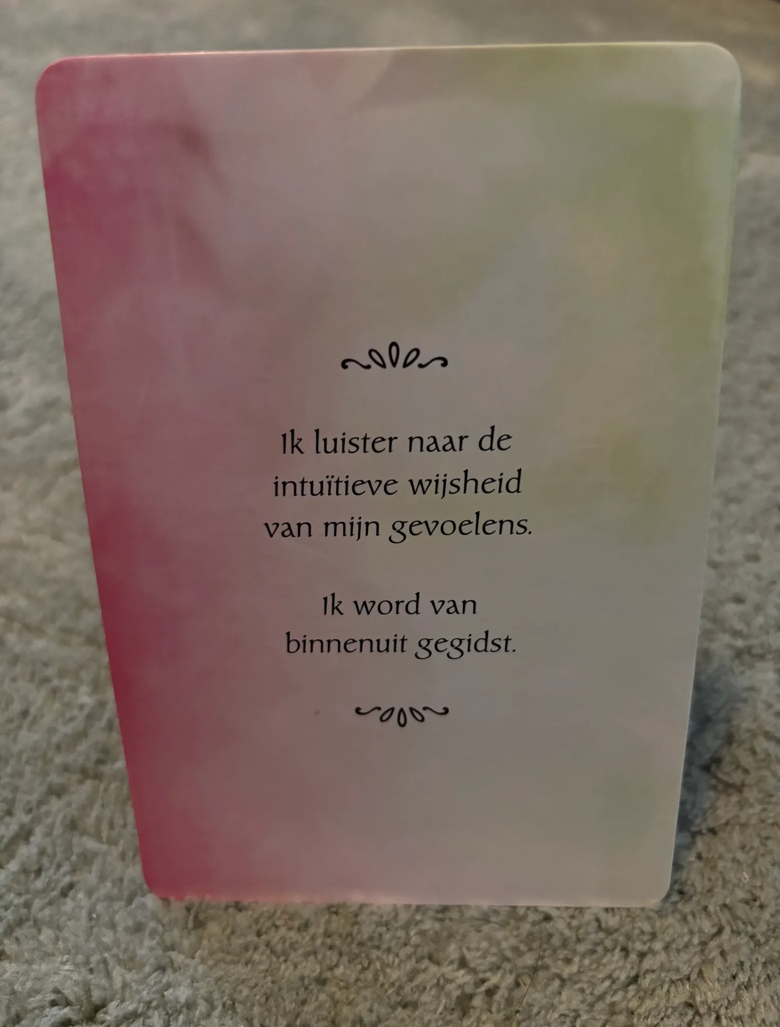 Afbeelding bij bericht van Selien - -