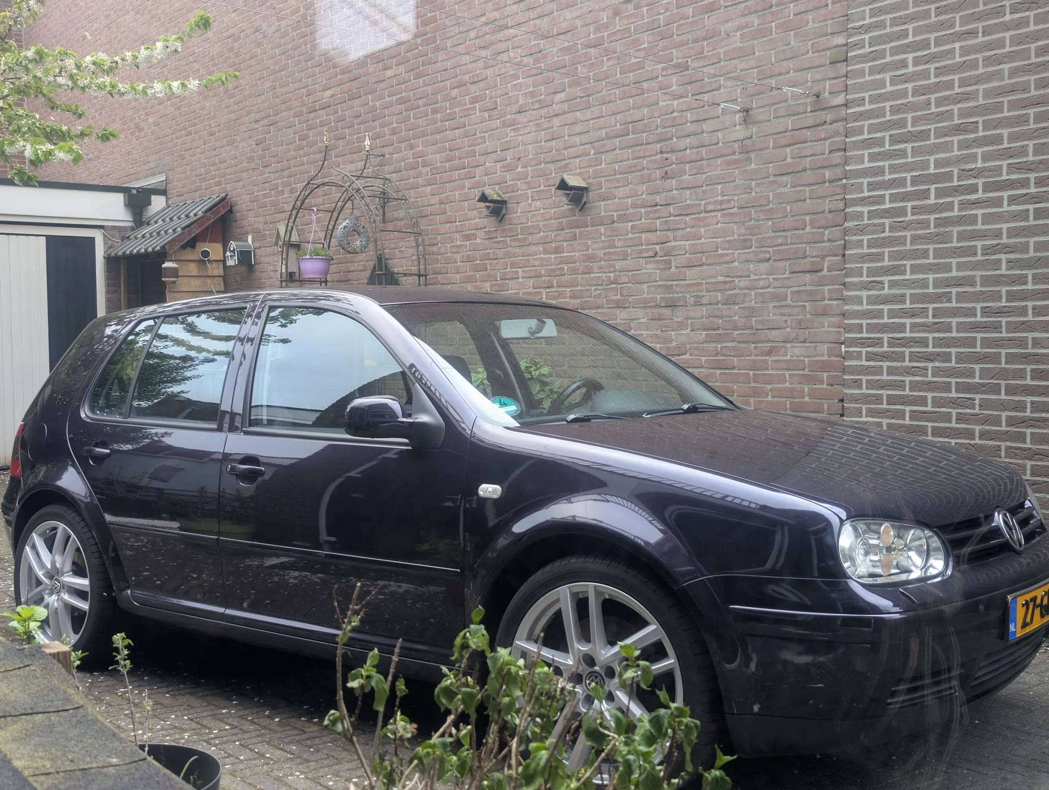 Afbeelding bij bericht van Angela Versteeg
