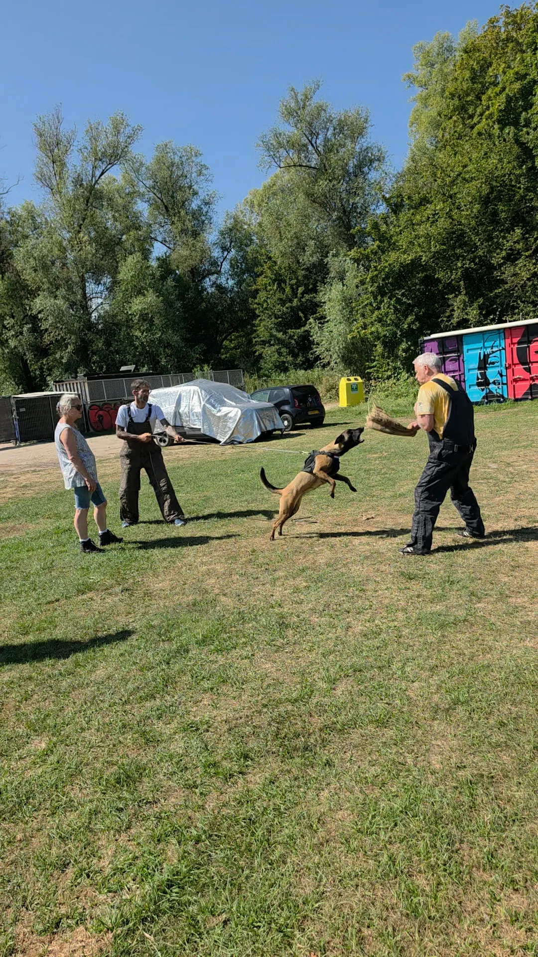 Afbeelding bij bericht van Roxy Rol