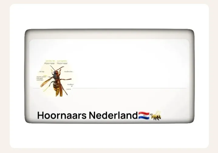 Afbeelding bij bericht van Allen🎤🎵🎶🕶 Allen van Rooten