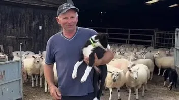 Afbeelding bij bericht van Dumpert Hyves