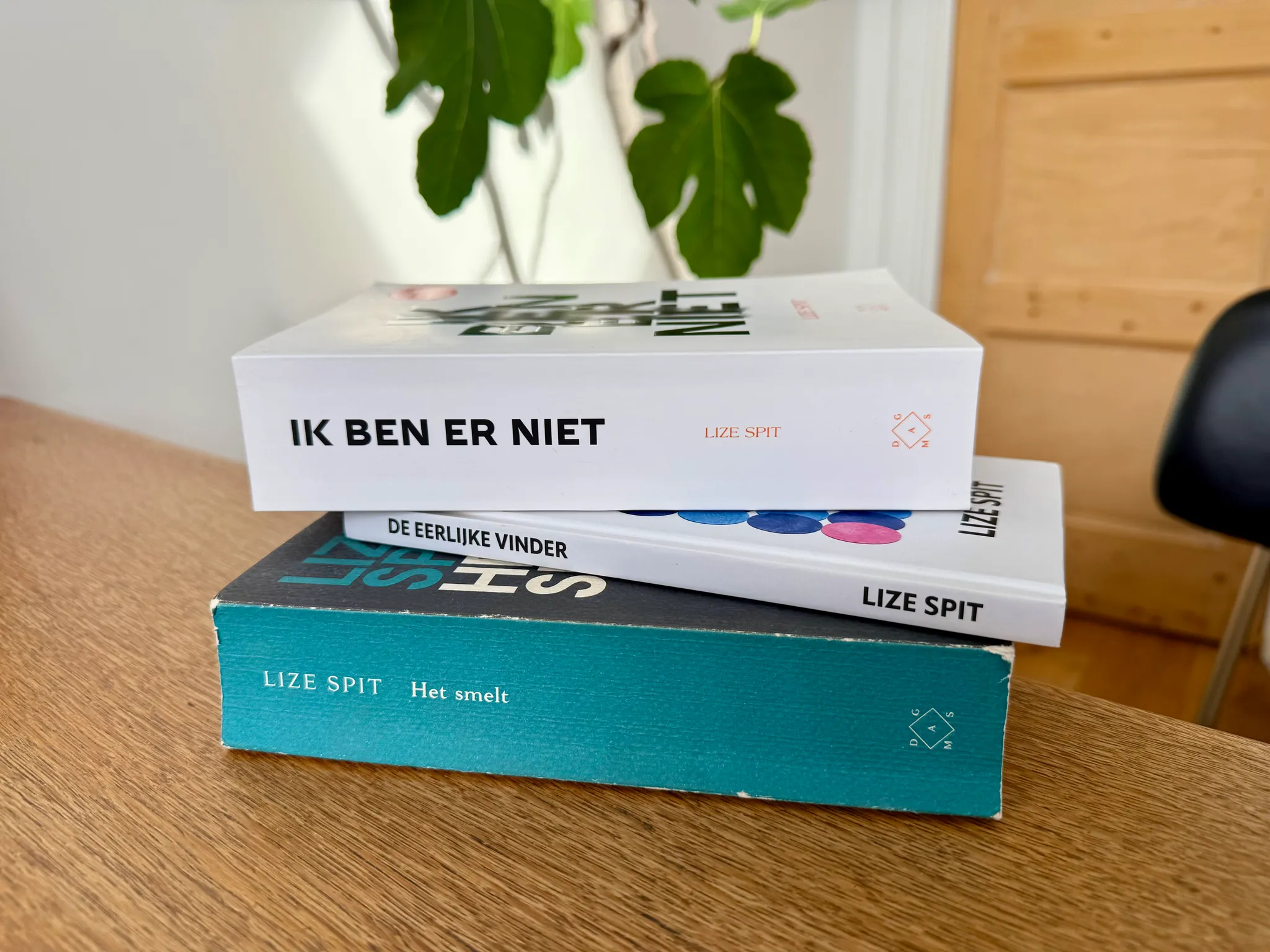 Afbeelding bij bericht van Aïda Peimaei