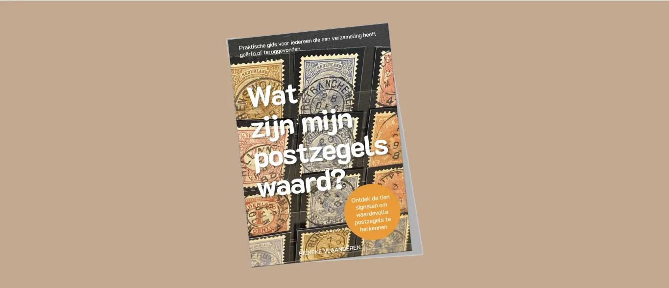Afbeelding bij bericht van Rieneke - Vlaanderen