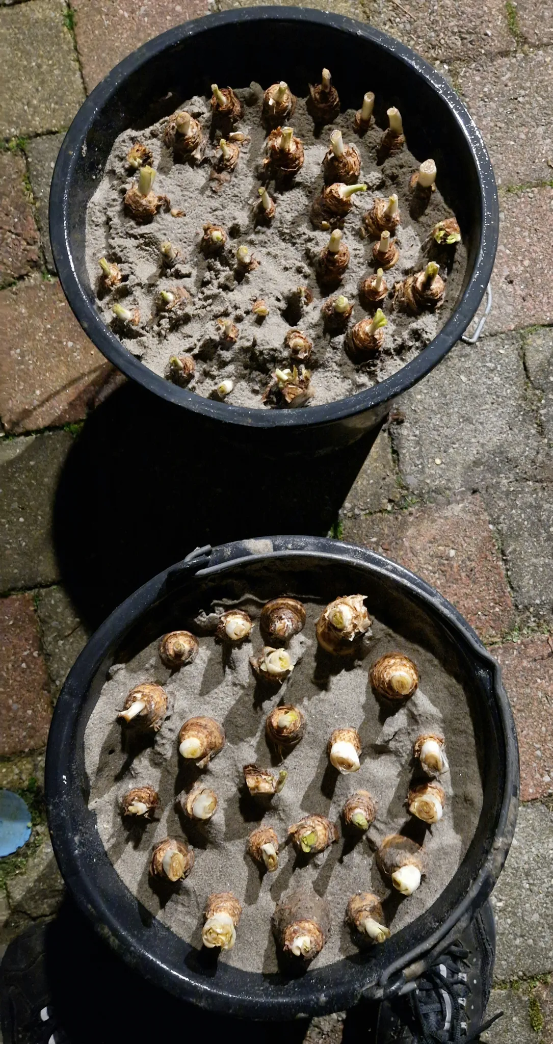 Afbeelding bij bericht van Esther Tailford