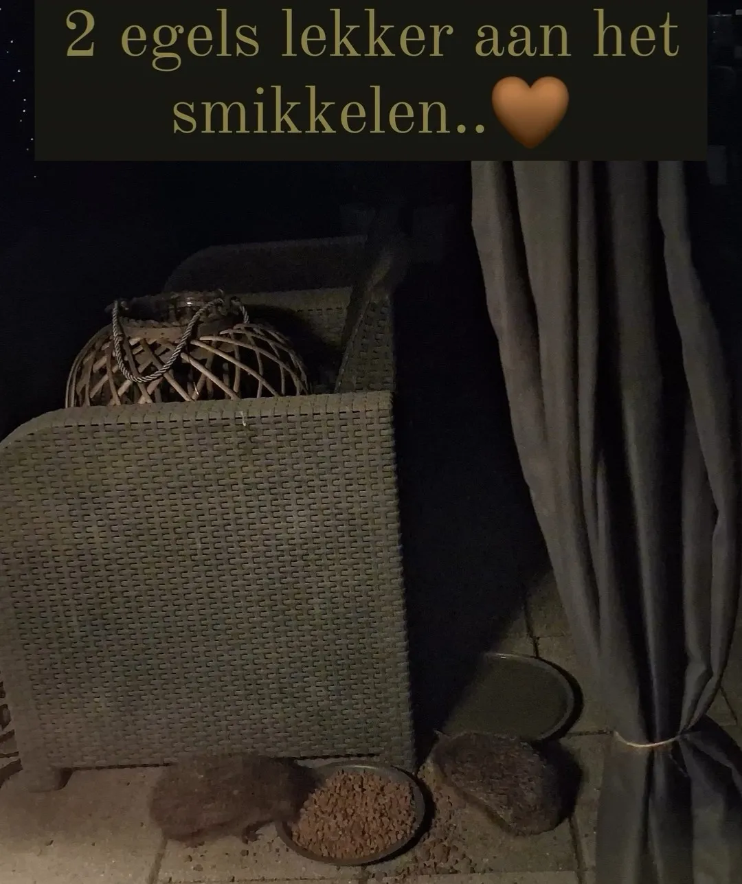 Afbeelding bij bericht van Agnes Groen