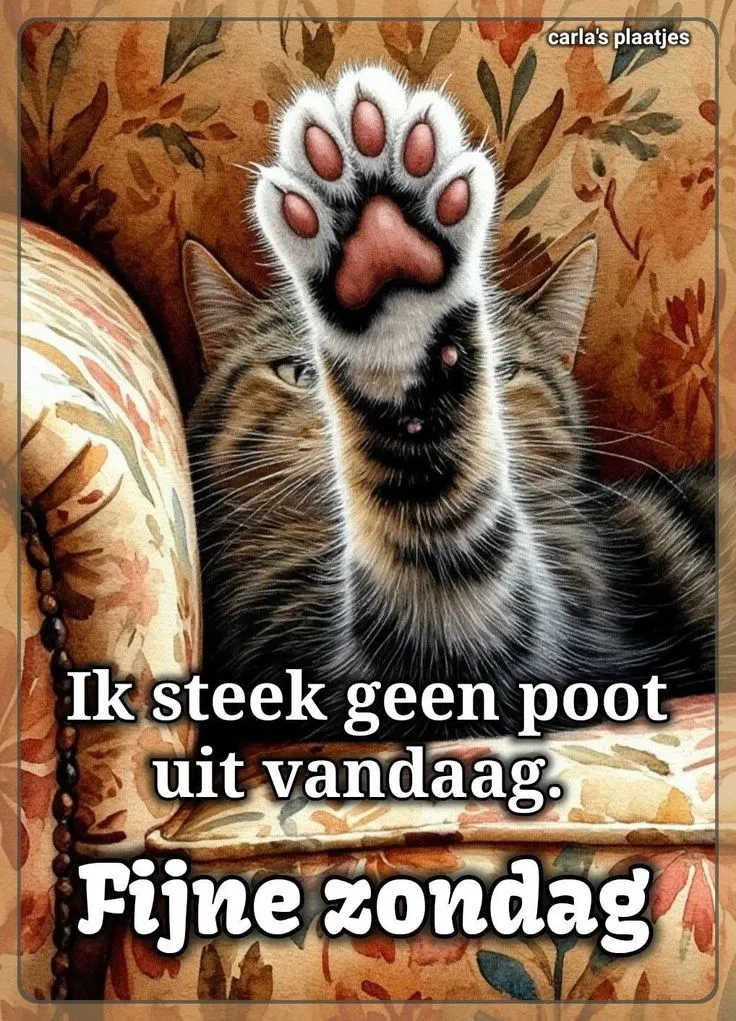 Afbeelding bij bericht van Hermien Nijland