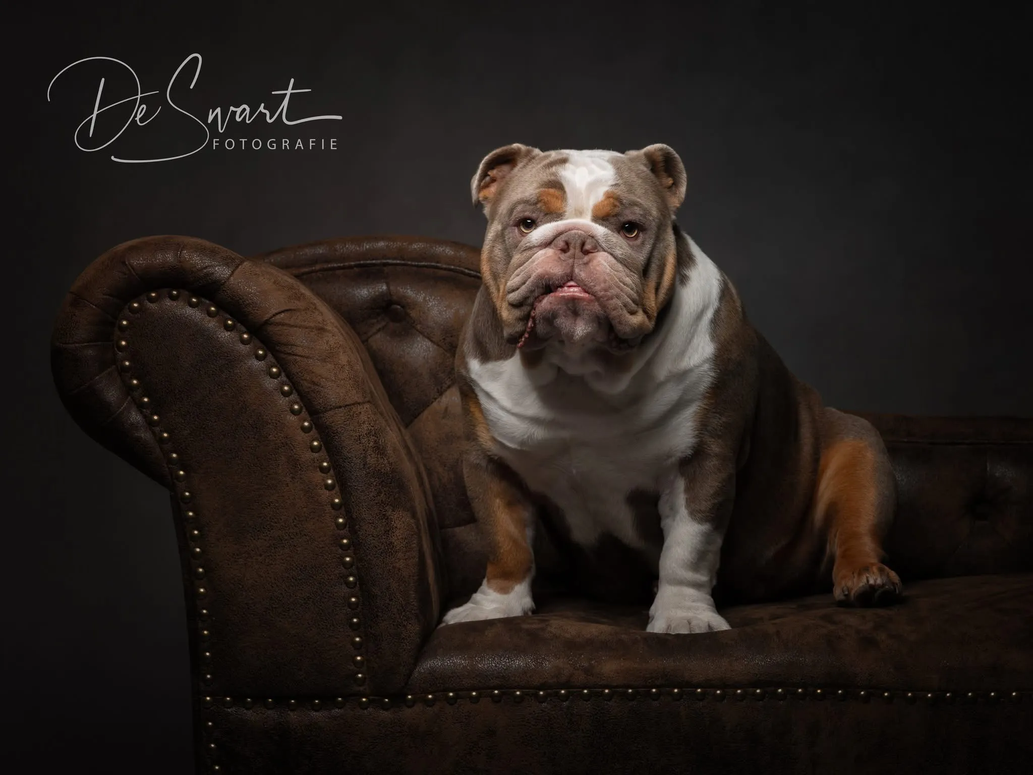 Afbeelding bij bericht van De Swart Fotografie De Swart