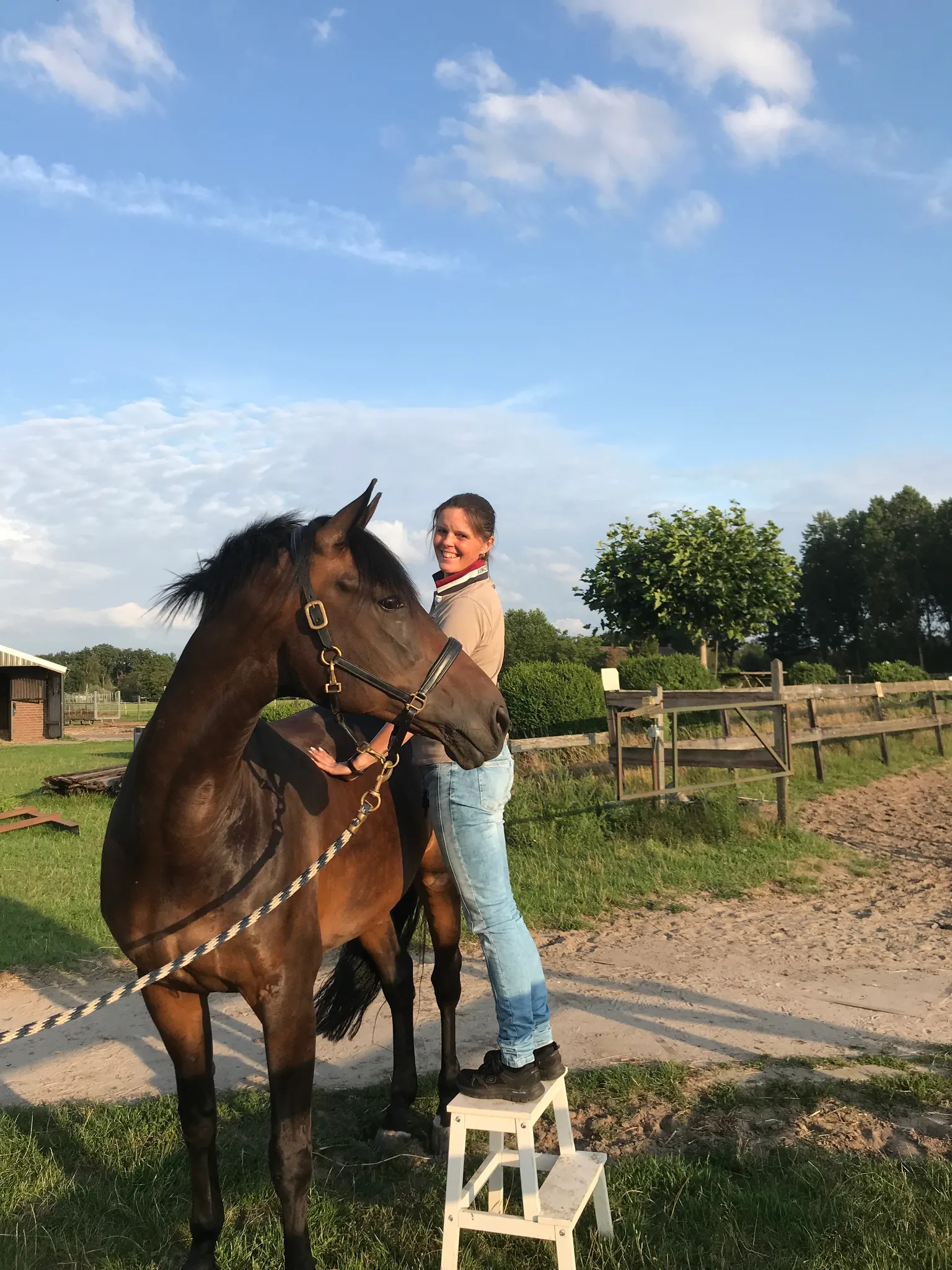 Afbeelding bij bericht van Eveline Van der Ven