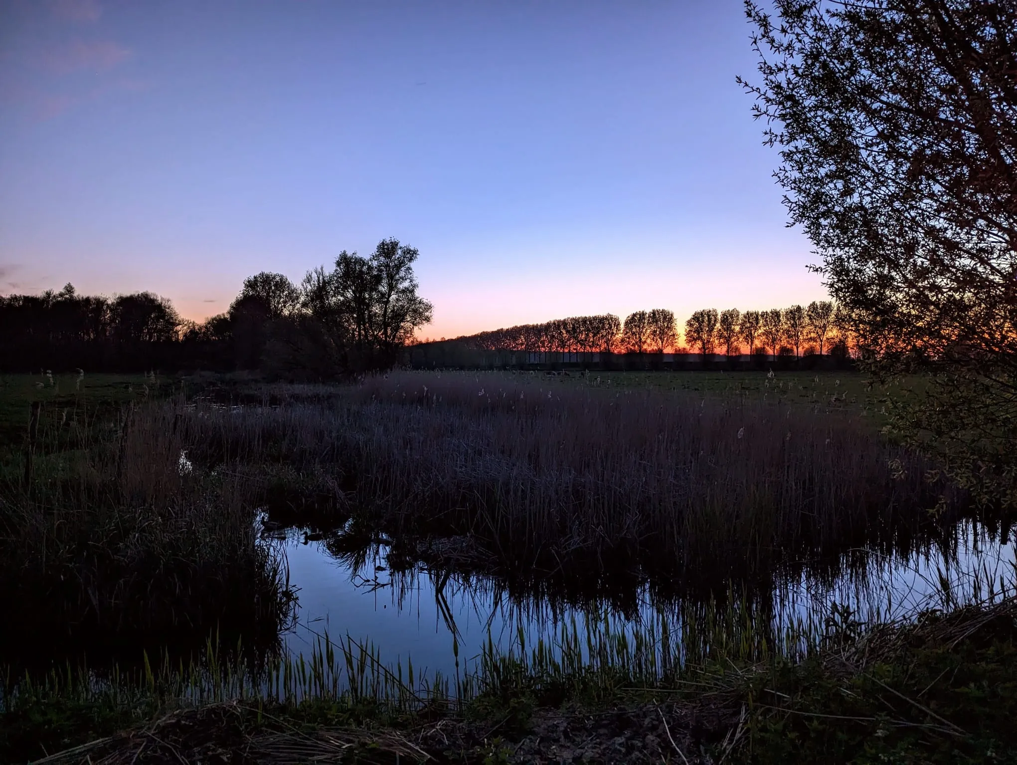 Afbeelding bij bericht van Wouter Broekhuizen