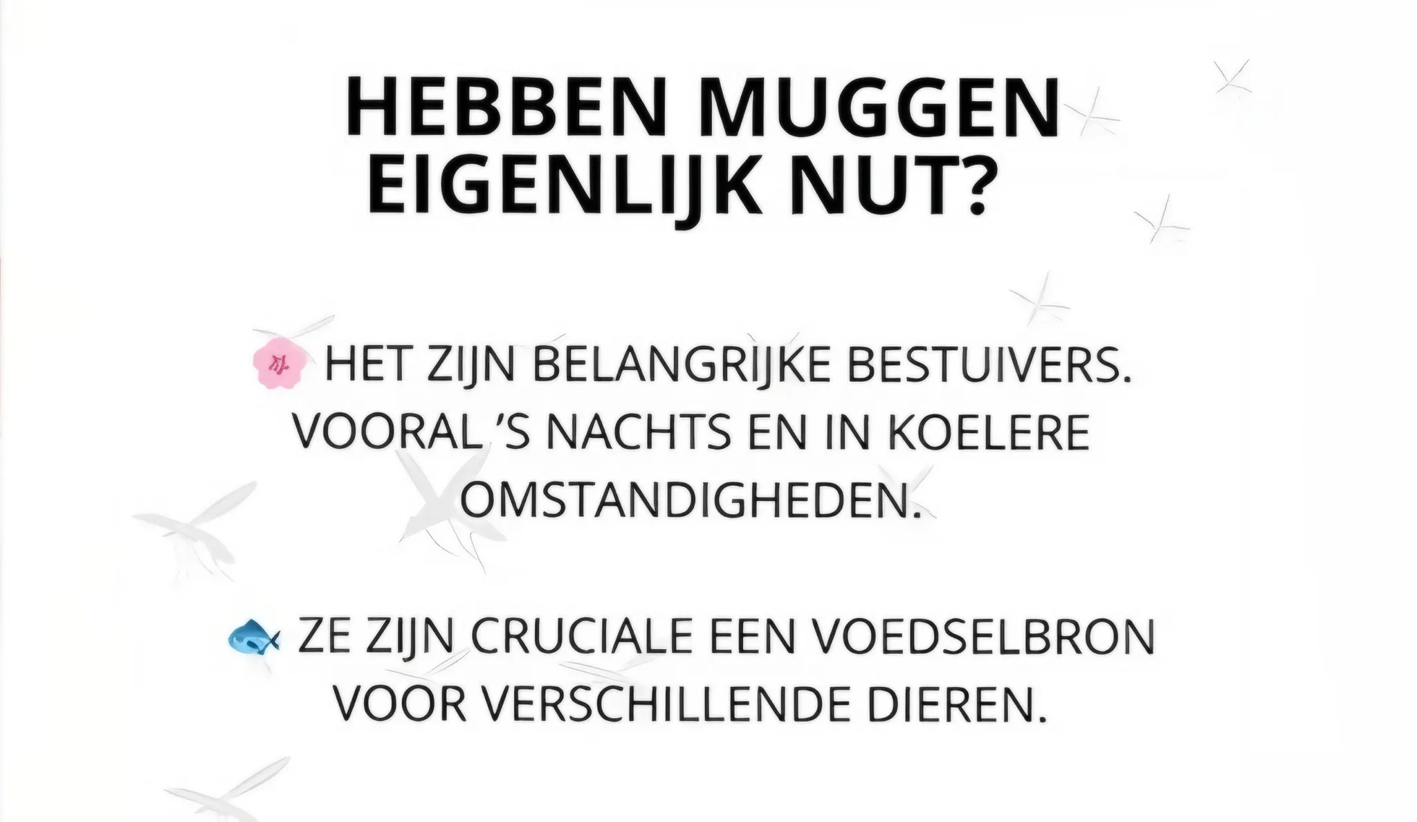 Afbeelding bij bericht van Fox Art .