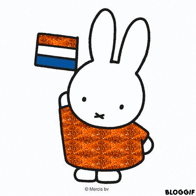 Afbeelding bij bericht van Niki Y