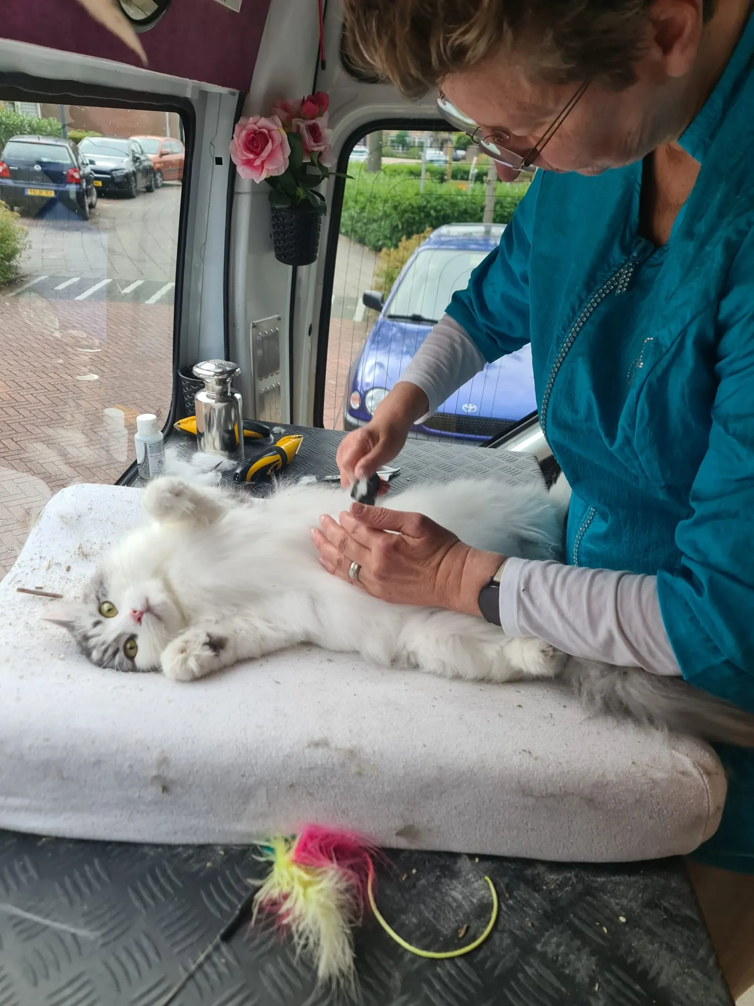 Afbeelding bij bericht van Saskia Put