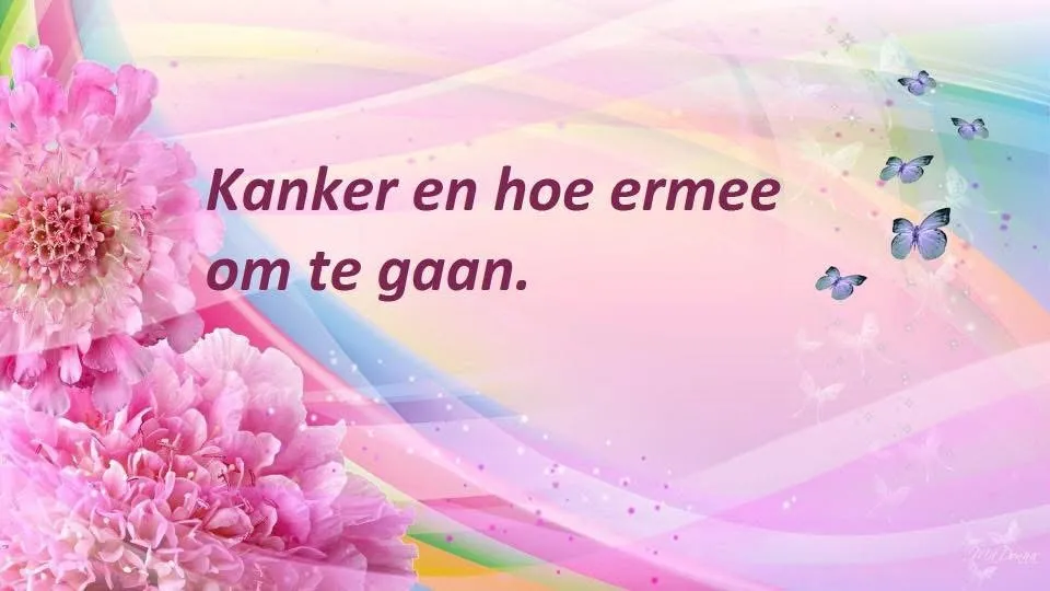 Afbeelding bij bericht van Willem Hoogeveen