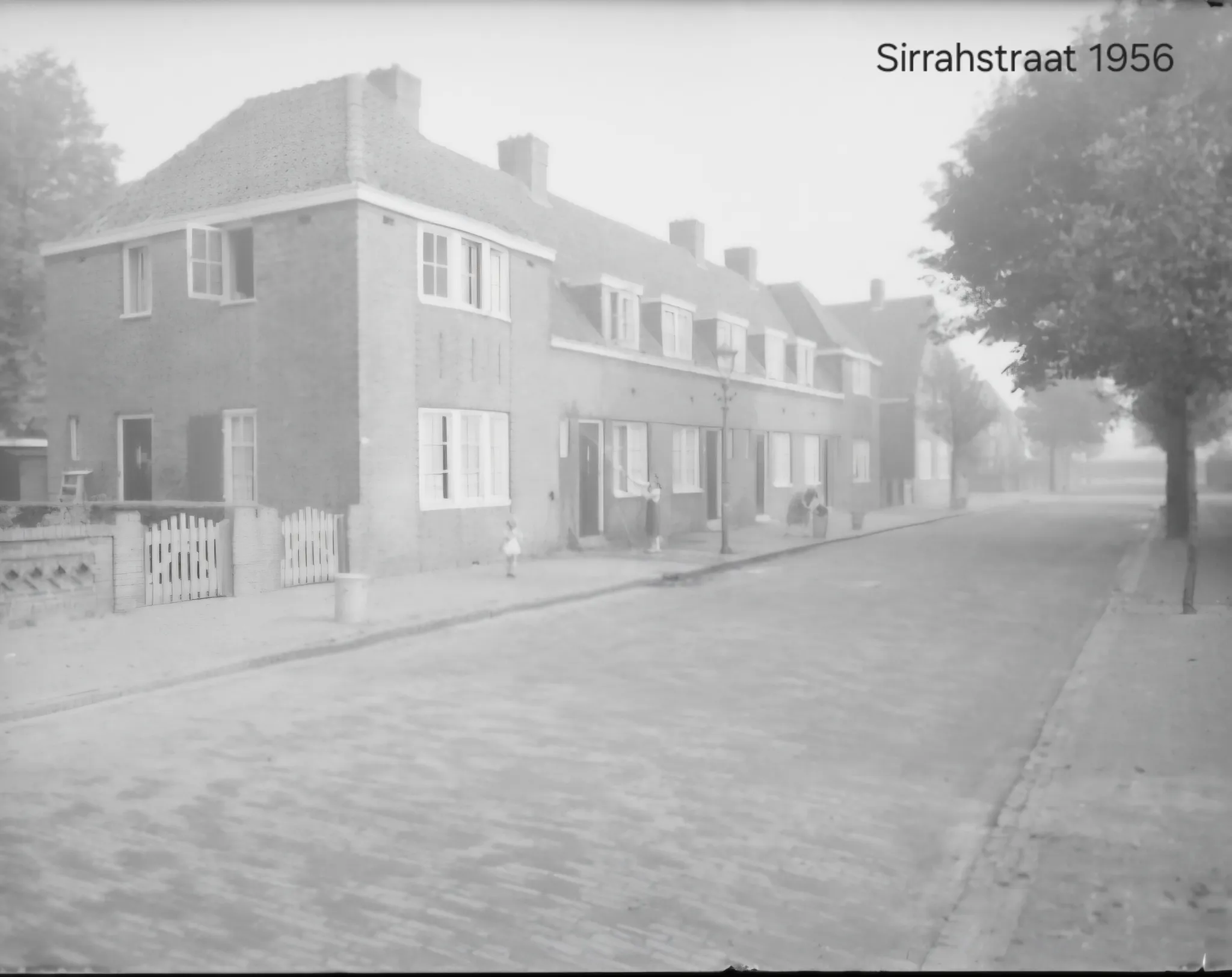 Afbeelding bij bericht van Wilma Van van Velzen