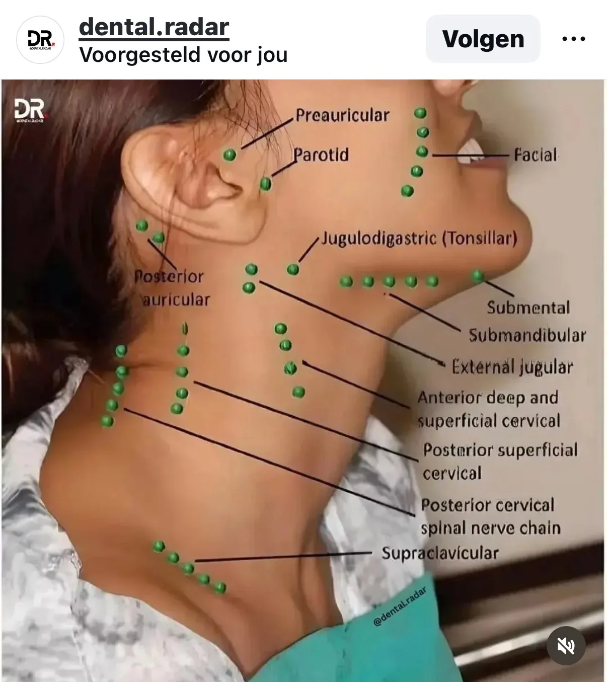 Afbeelding bij bericht van Sabine Zagers