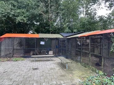 Afbeelding bij bericht van Groot Waterland
