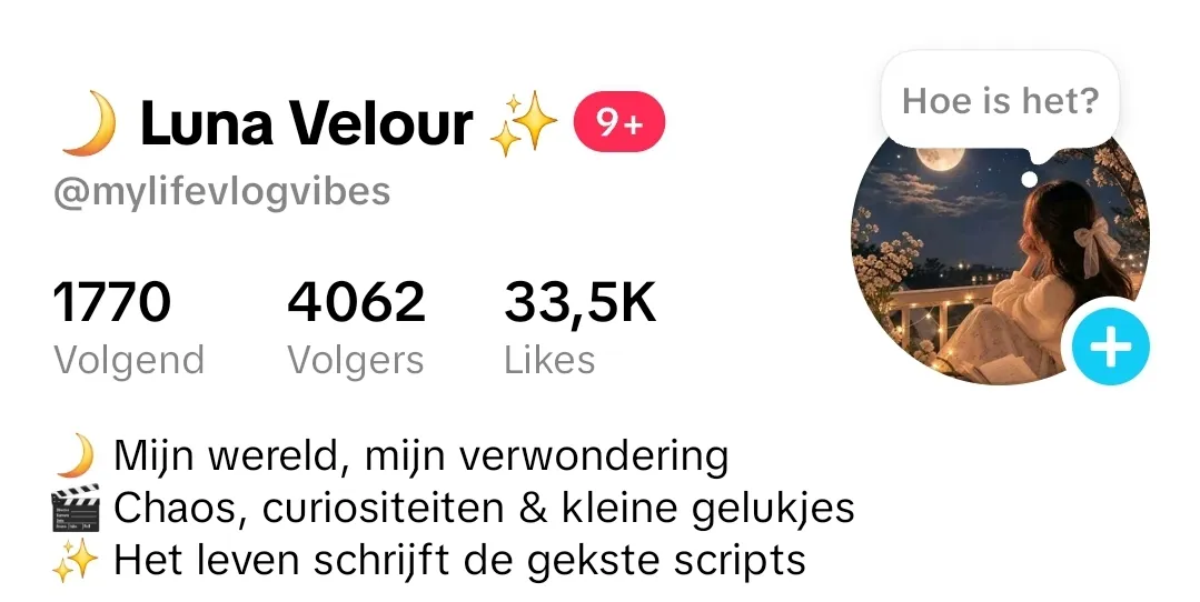 Afbeelding bij bericht van Marjolein Van Felius