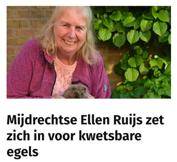 Afbeelding bij bericht van Ron Visser