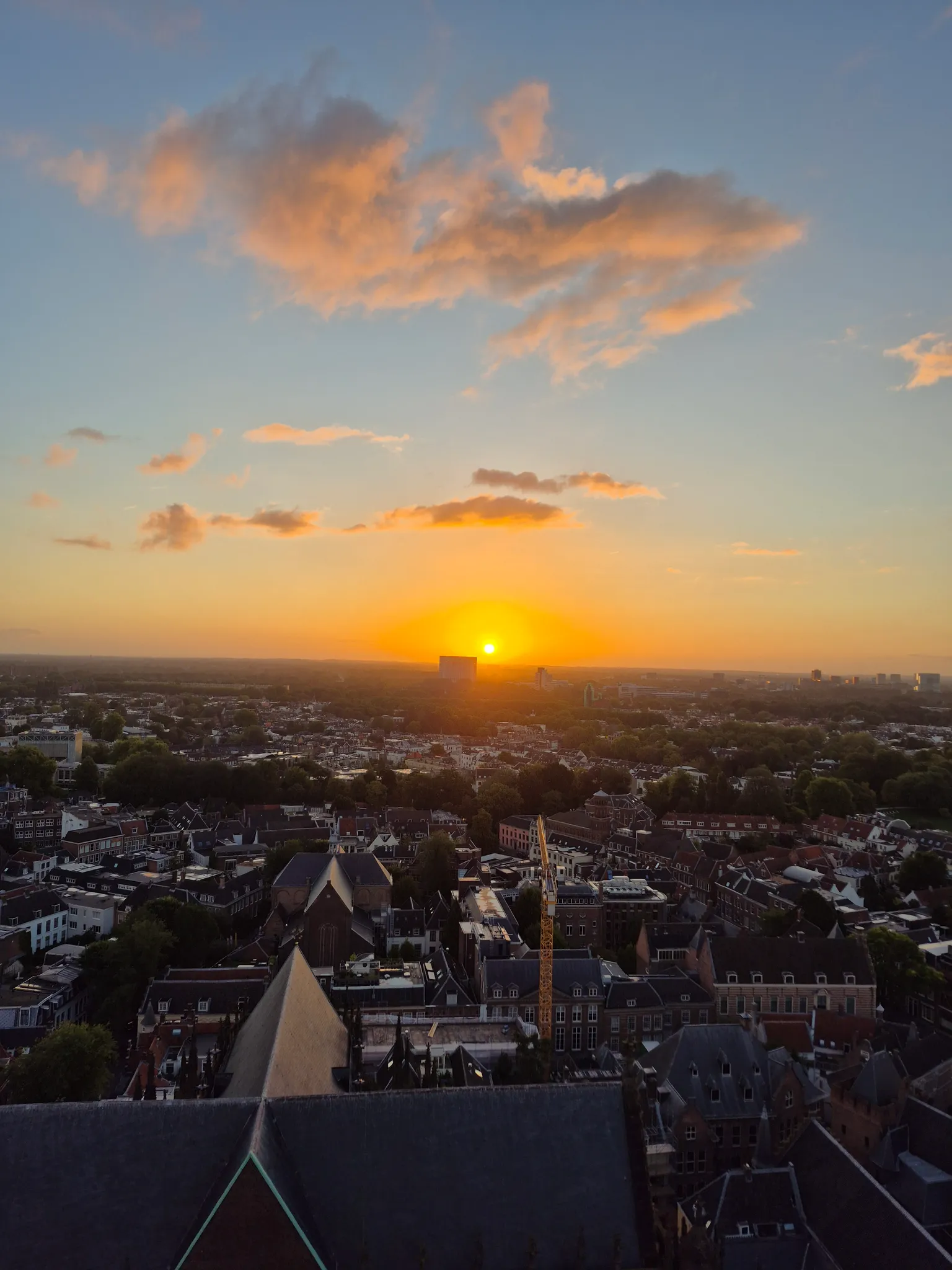 Afbeelding bij bericht van Denise Van Nieuwegein