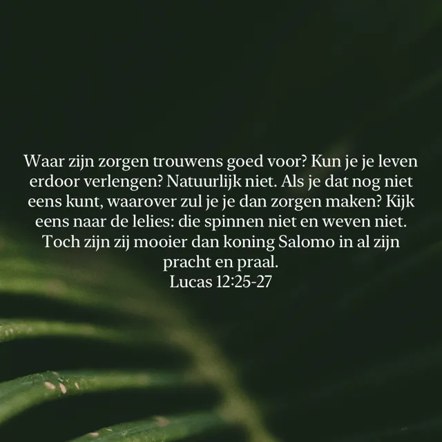 Afbeelding bij bericht van シ  Smittie De Smit