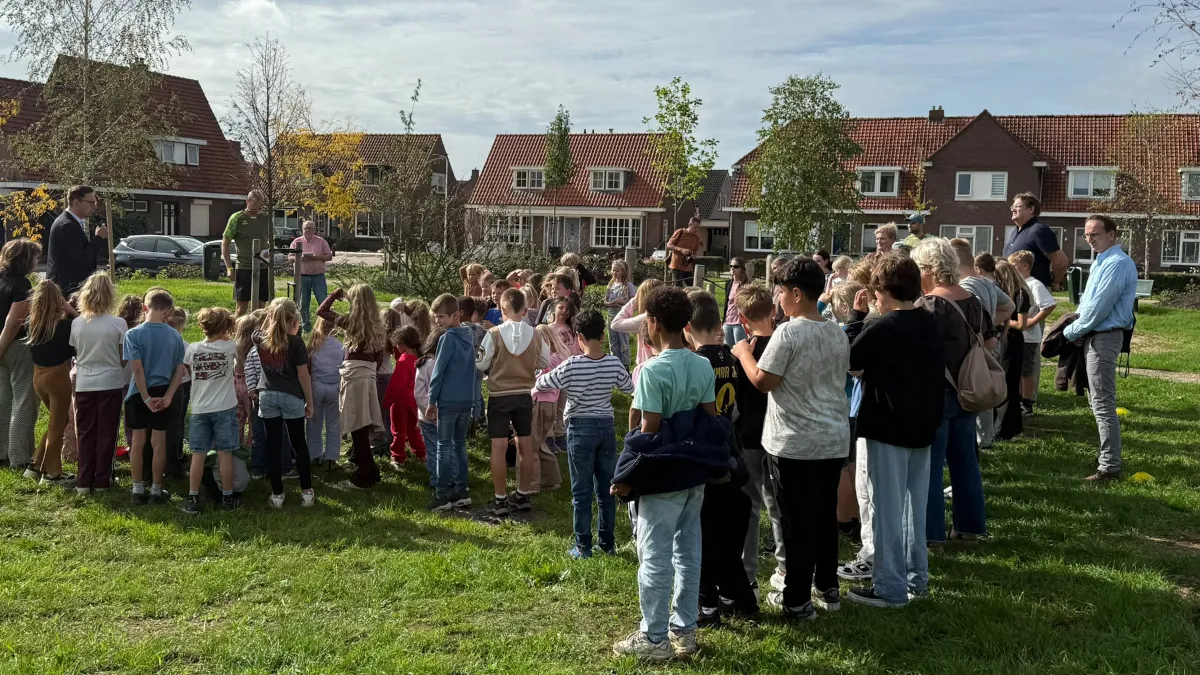 Afbeelding bij bericht van The City Sites Sites
