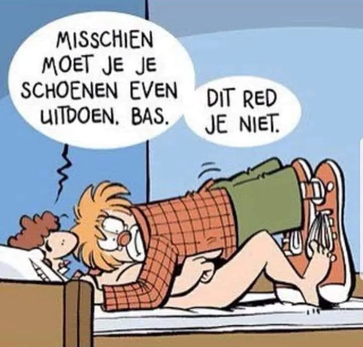 Afbeelding bij bericht van Heidy Van Mullekom